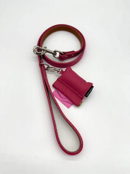 Leather Leash and Poo bag holder set - 25% off