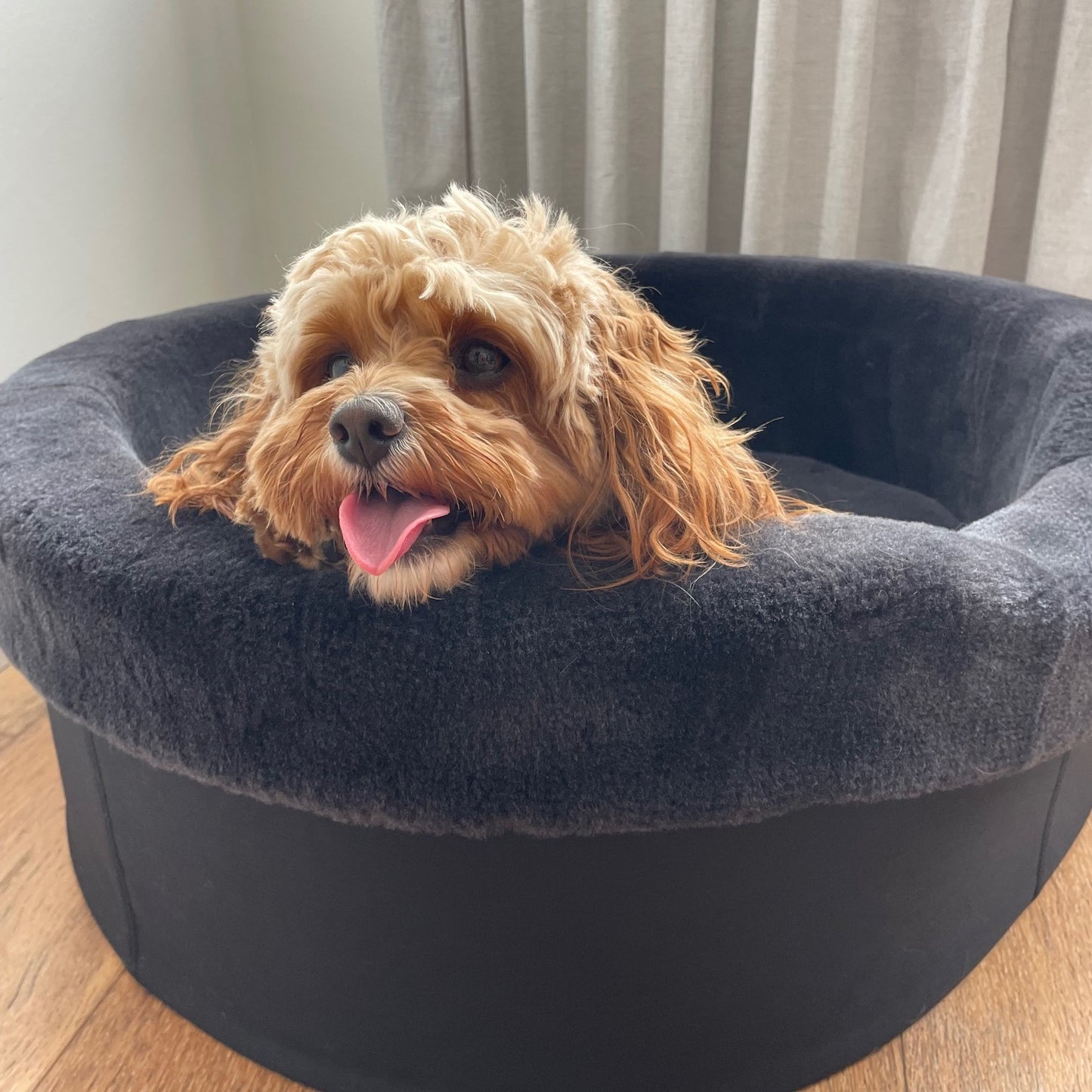 Australian Sheep Fleece Dog Bed