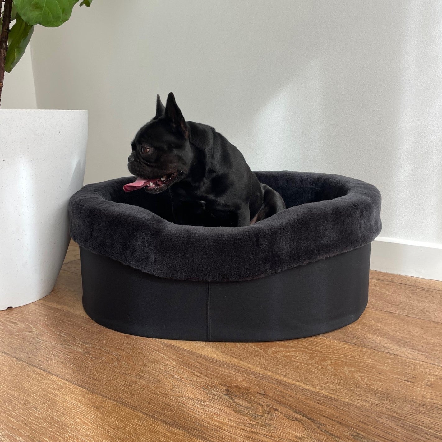 Australian Sheep Fleece Dog Bed