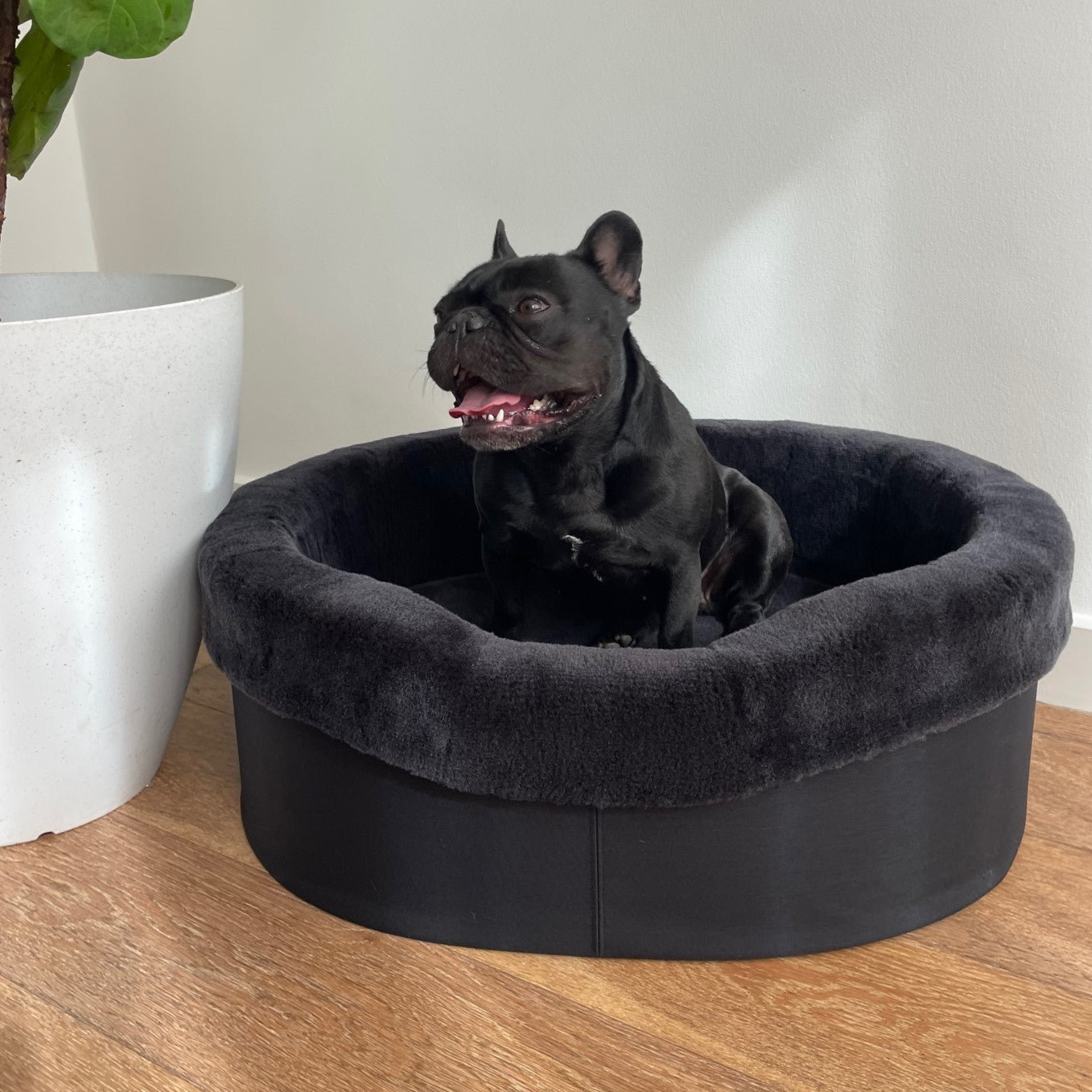 Australian Sheep Fleece Dog Bed