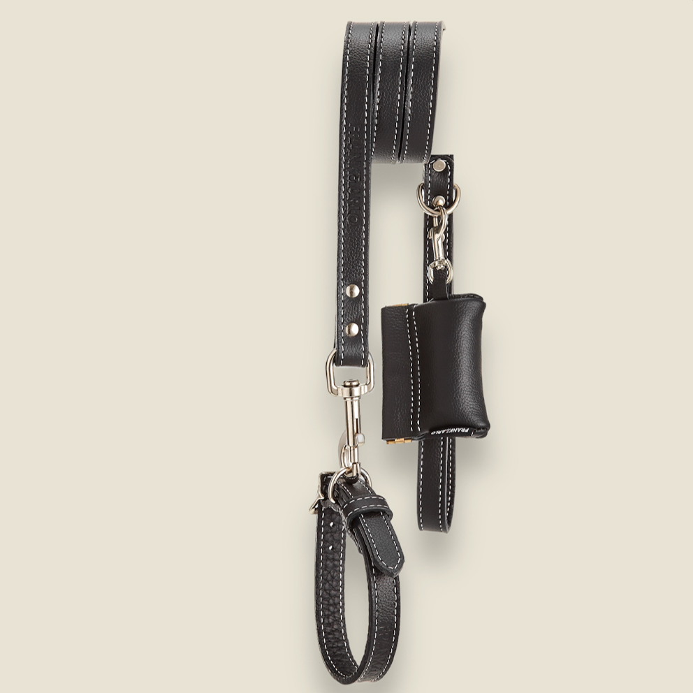 SALE: Leather Leashes