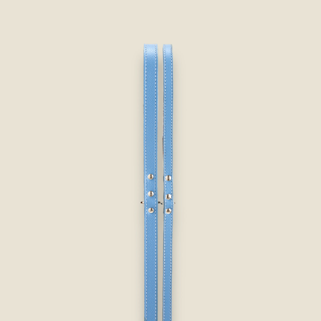 SALE: Leather Leashes