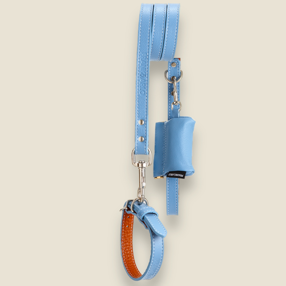 SALE: Leather Leashes
