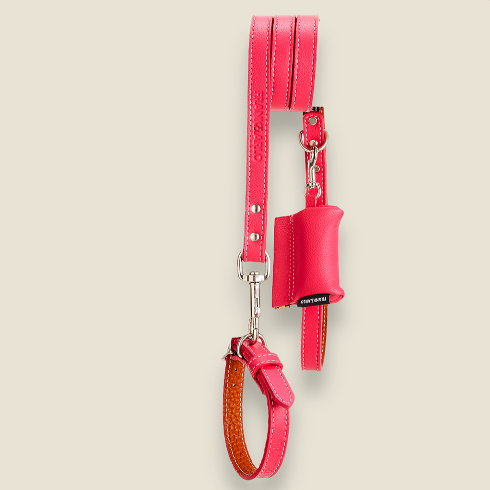 SALE: Leather Leashes