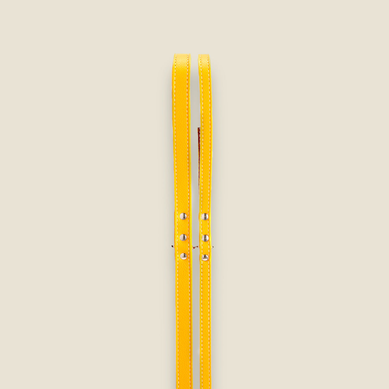 SALE: Leather Leashes