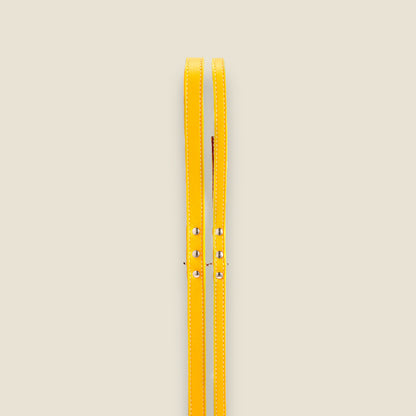 SALE: Leather Leashes