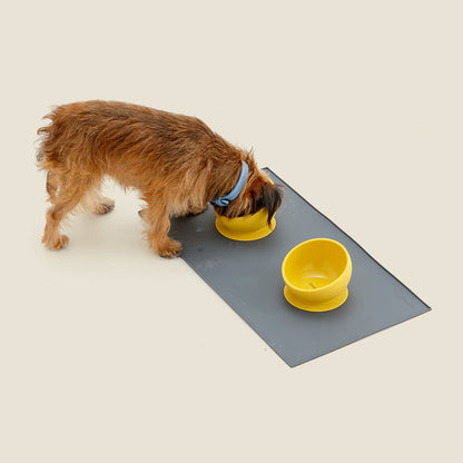 Suction Based Silicone Dog Bowl