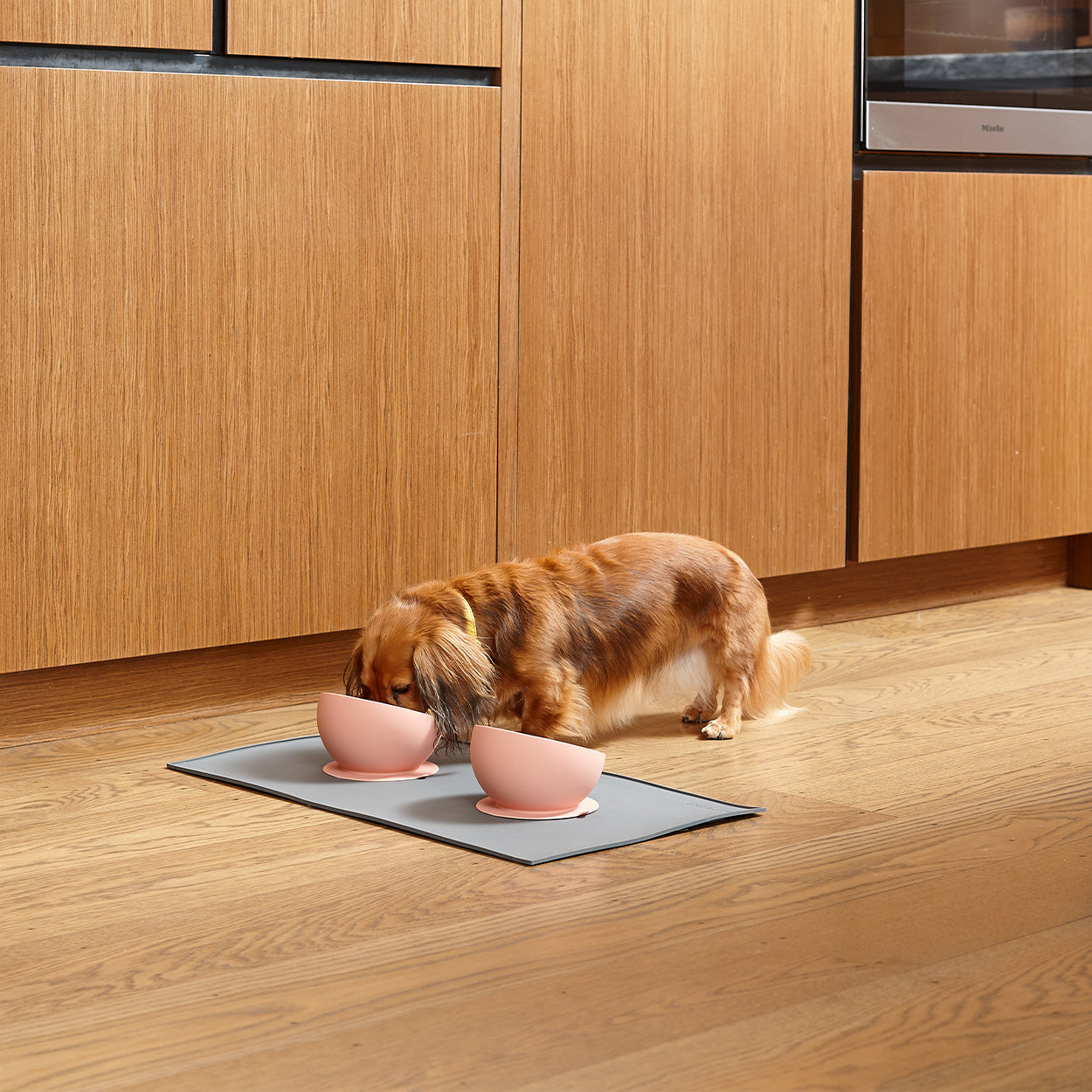 Suction Based Silicone Dog Bowl