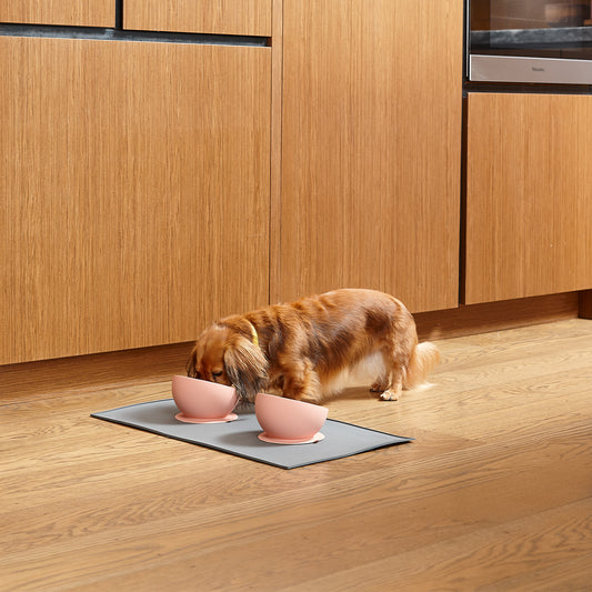 Suction Based Silicone Dog Bowl