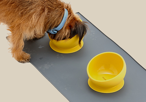 dog_accessories_silicone_dog_bowls